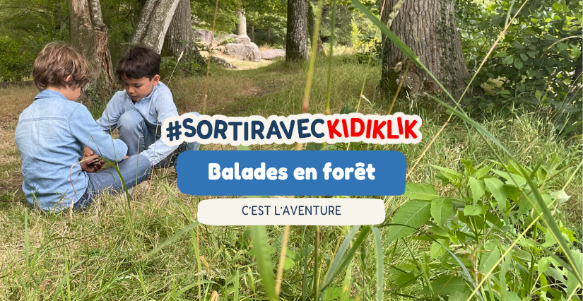 Cet été explorez bois et forêts en famille : comment éveiller nos enfants à la nature et à la biodiversité