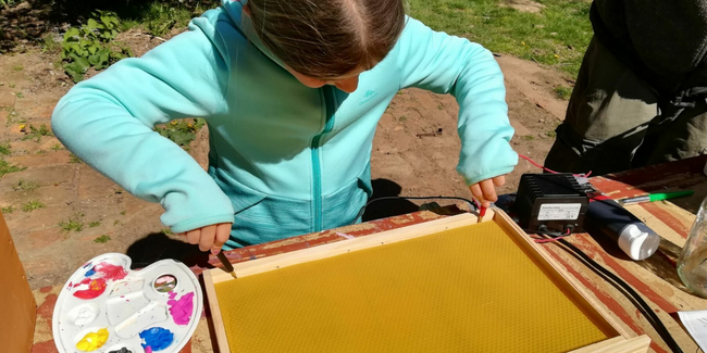 Visite-atelier "le monde des abeilles" à la Ferme du Rucher Ân’imé à Cieux