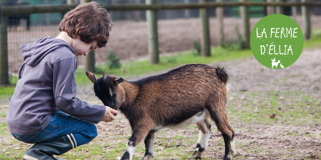 Venez vous occuper des animaux en famille à la Ferme d'Ellia, Sarlat-la-Canéda