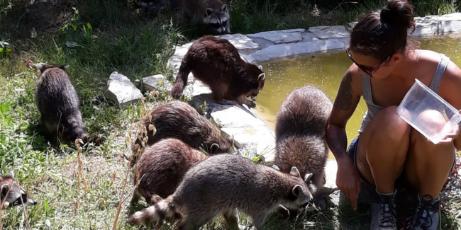 Rendez-vous en famille avec les animaux du Zoo de Mescoules