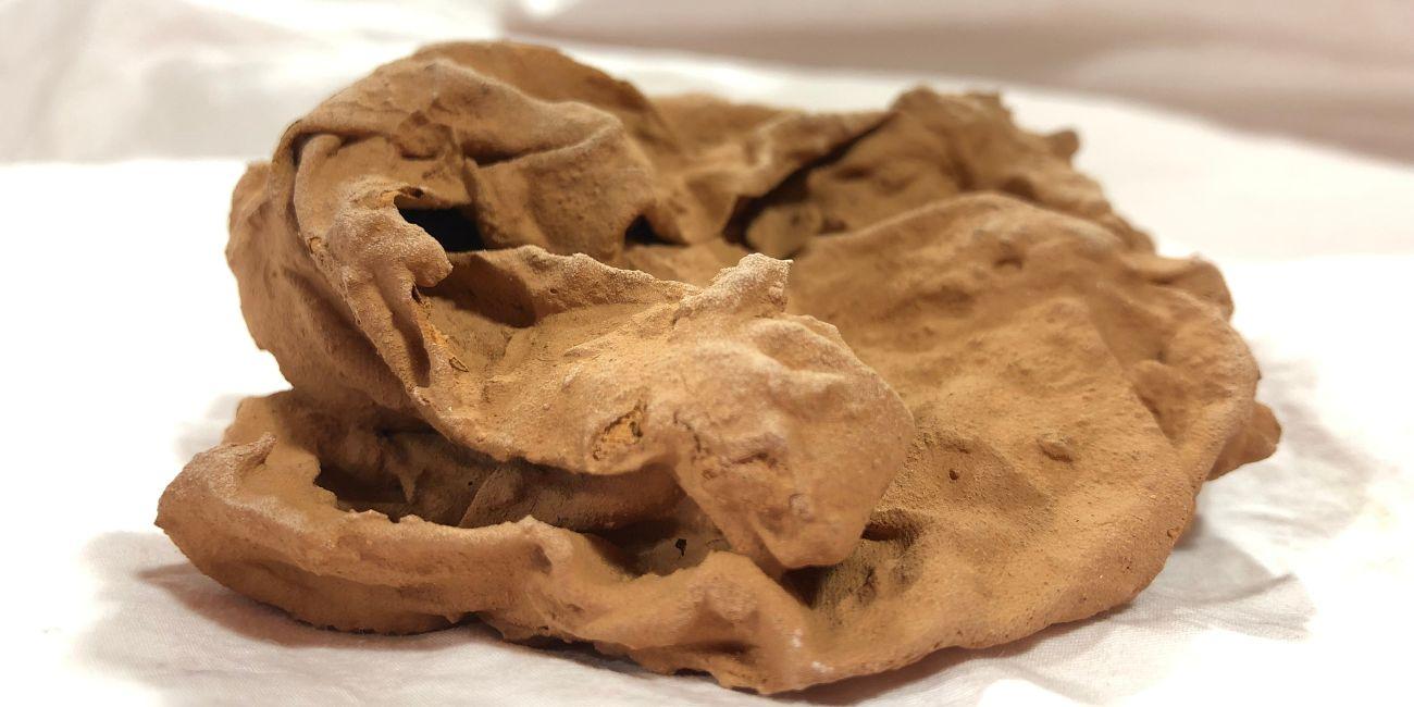 atelier musee de la terre atelier enfant Chauve-souris à suspendre, Atelier modelage au Musée de la Terre à Saint-Hilaire-les-Places