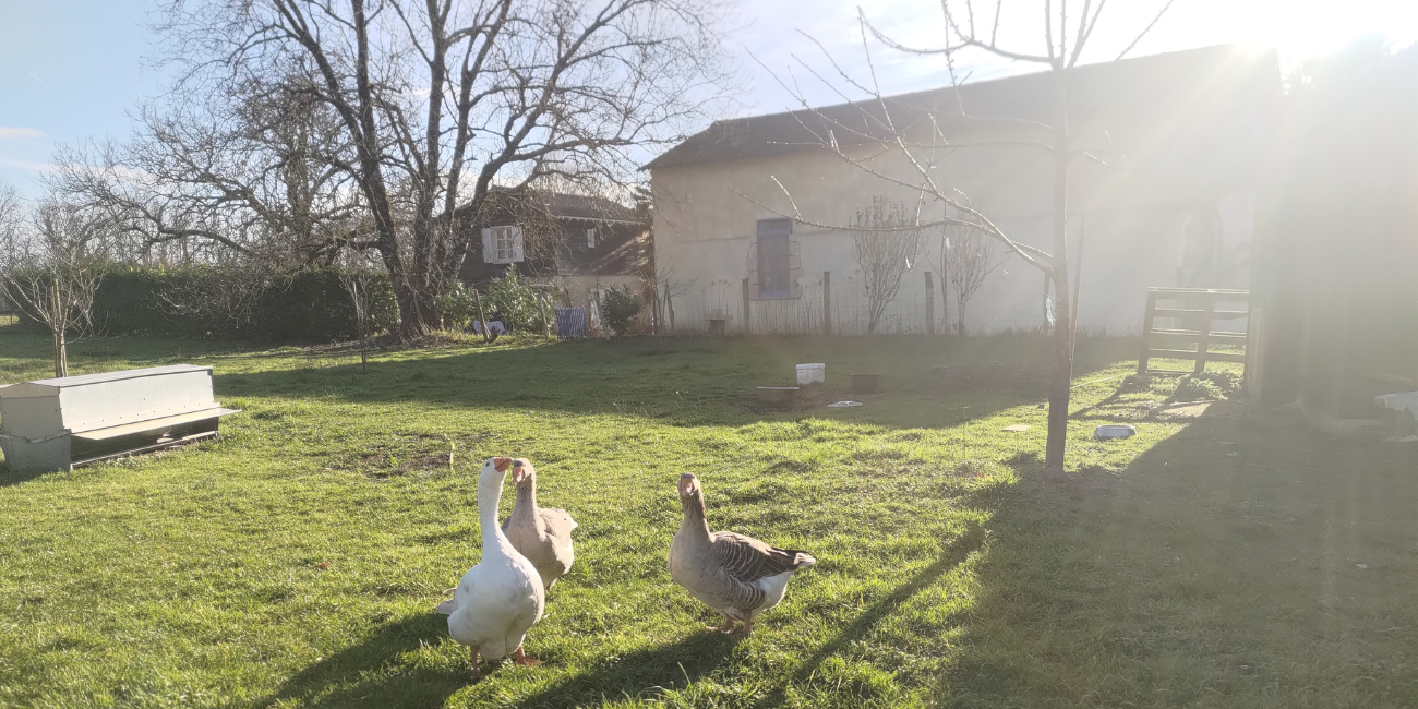 Chabatz d'entrar !, Parc naturel régional Périgord-Limousin à Brantôme