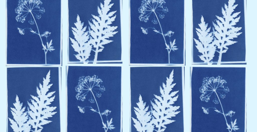 Atelier cyanotype avec Archéologie Paysage à Uzerche Atelier cyanotype avec Archéologie Paysage à Uzerche