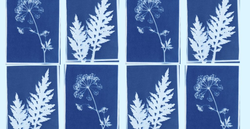 Atelier cyanotype avec Archéologie Paysage à Uzerche