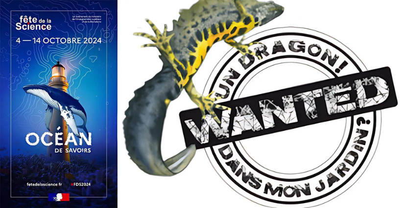À la chasse aux dragons, animation nature à Varaignes