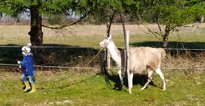 Matinée ân'imée à la ferme au Rucher Ân’imé à Cieux (87)