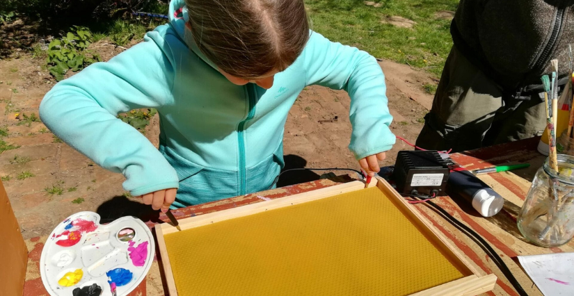 Les abeilles en hiver, découverte du métier d'apiculteur au Rucher Ân’imé à Cieux (87)