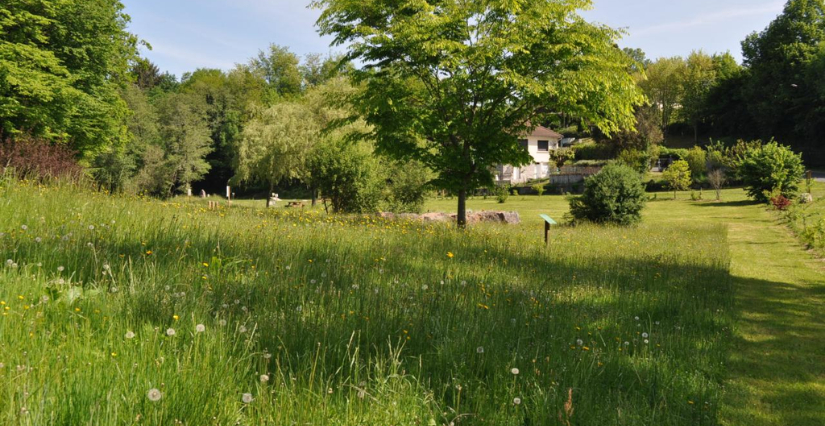 Fête de la Nature / Fêtez l'Atlas de la Biodiversité de Naves (19)