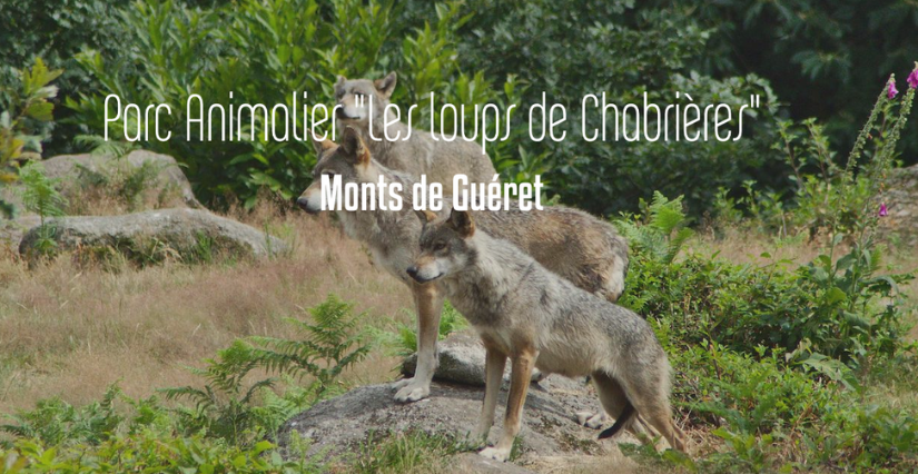 Profitez du parc animalier des Monts de Guéret pendant les vacances !