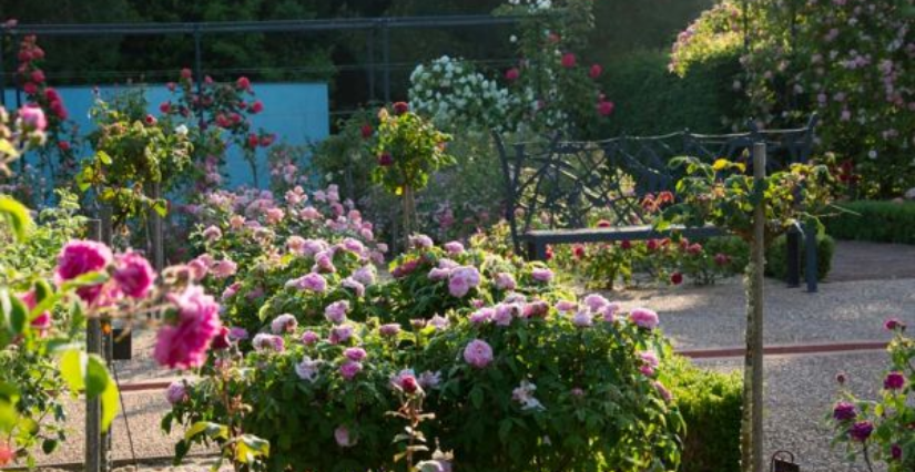 Rendez-Vous aux Jardins : visites et animations aux Jardins de Colette à Varetz (19)