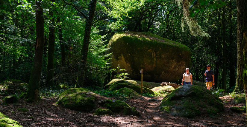 Le territoire des Monts de Guéret : découvrez ses secrets ! (23)