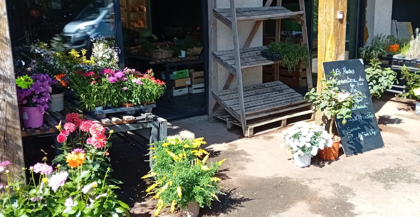Cueillettes de fraises & légumes à la ferme Teillet 