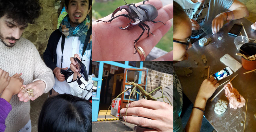 Nuit des musées à la Cité des insectes à Limoges (87)