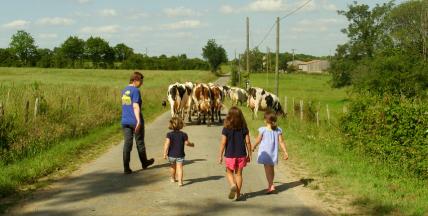 Visites à la ferme ou chez un producteur au Pays de Saint-Yrieix en famille