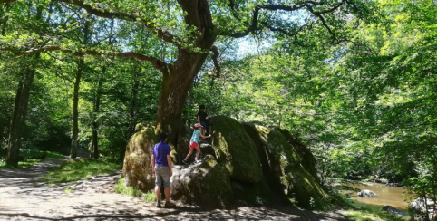 Balade en famille au Site Corot à Saint-Junien