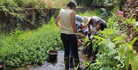 A la découverte de la rivière le Couchou à Saint-Yrieix-la-Perche