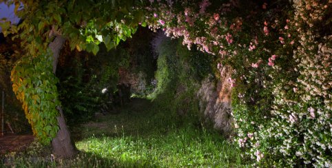 Nocturnes de l'été au Labyrinthe Géant de Guéret