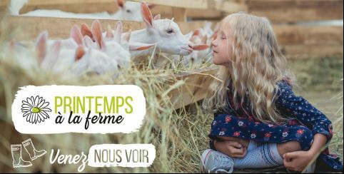 Printemps à la ferme en Périgord-Limousin